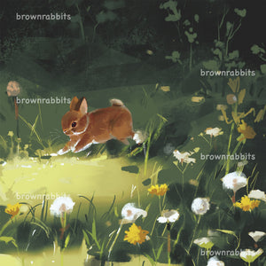 Small Rabbit Print Small Bunny Square Print – Brownrabbits